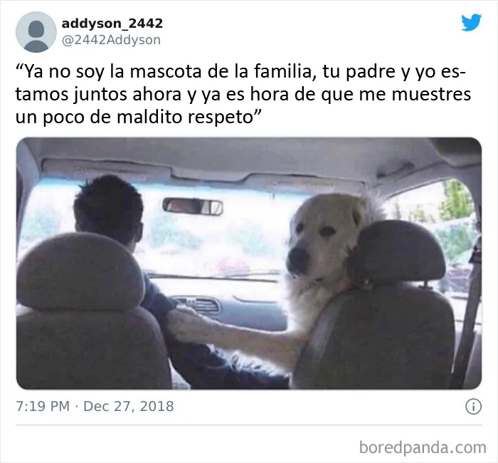 Se llama amor, Samantha