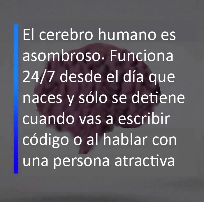 Cerebro humano