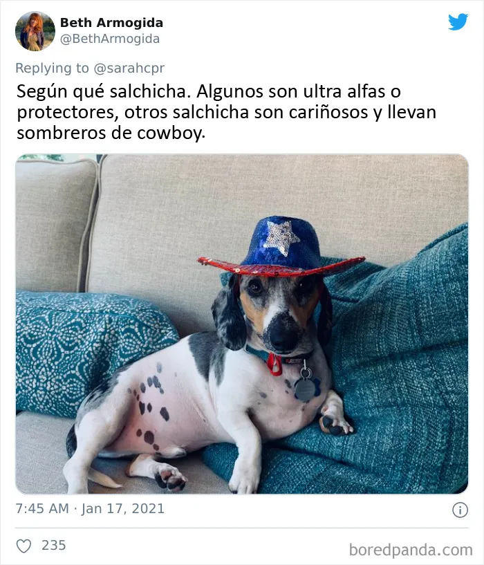 20 Tuits de dueños de perros salchicha contando cómo es tener mascotas con tanta personalidad