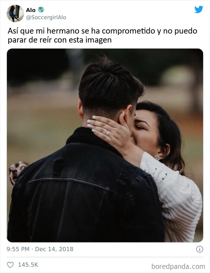 El perro piensa "¿Esto es real?"