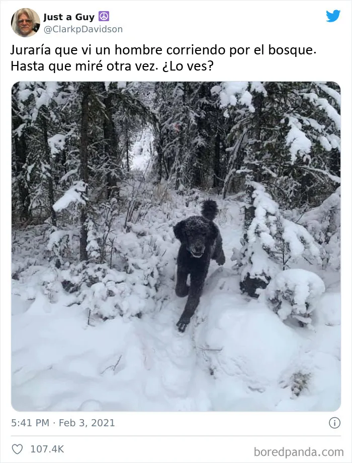 ¿Es una persona corriendo o...?