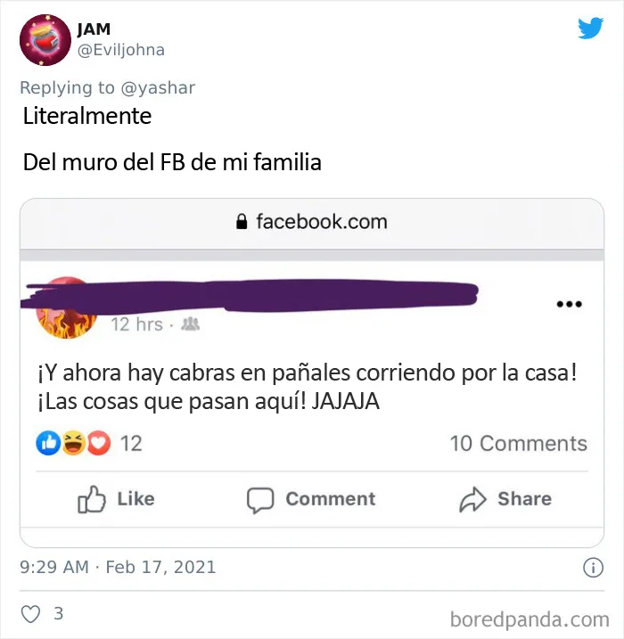 En Texas están resguardando a todo tipo de animales para protegerlos de la ola de frío (19 fotos)