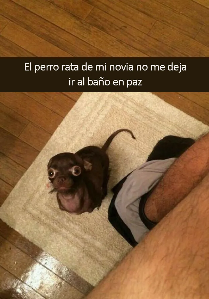 Solo quiero ir al baño en paz