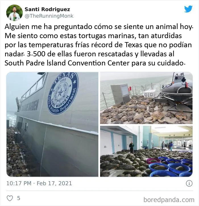 En Texas están resguardando a todo tipo de animales para protegerlos de la ola de frío (19 fotos)