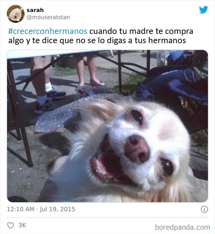 20 Divertidos tuits que resumen perfectamente cómo es tener hermanos