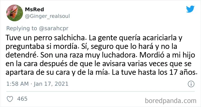 20 Tuits de dueños de perros salchicha contando cómo es tener mascotas con tanta personalidad