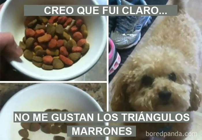 20 Memes y chistes para que los tiquismiquis con la comida se sientan señalados