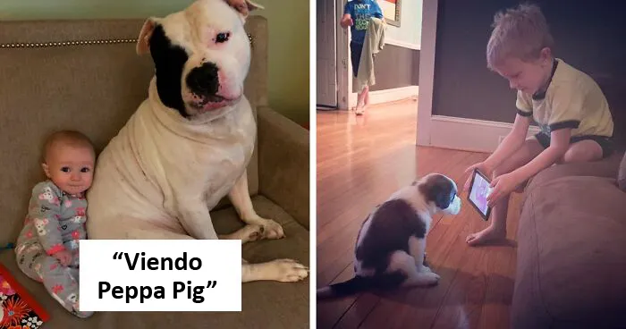 Si después de ver esto no piensas que tus hijos necesitan un perro, es que debes ser un gato (Nuevas fotos)