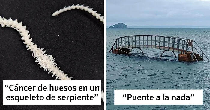50 Cosas bastante interesantes vistas en la naturaleza que son realmente sorprendentes (nuevas fotos)