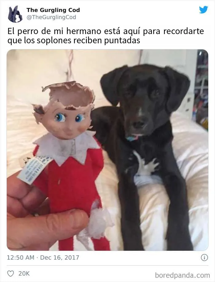 Este tipo contra un elfo