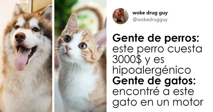 25 De los mejores tuits de "amantes de los perros vs amantes de los gatos"