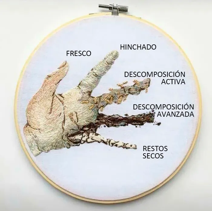 Descomposición de la carne humana