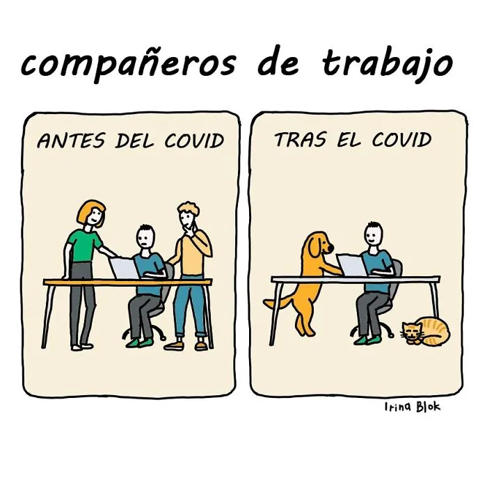 Compañeros De Trabajo