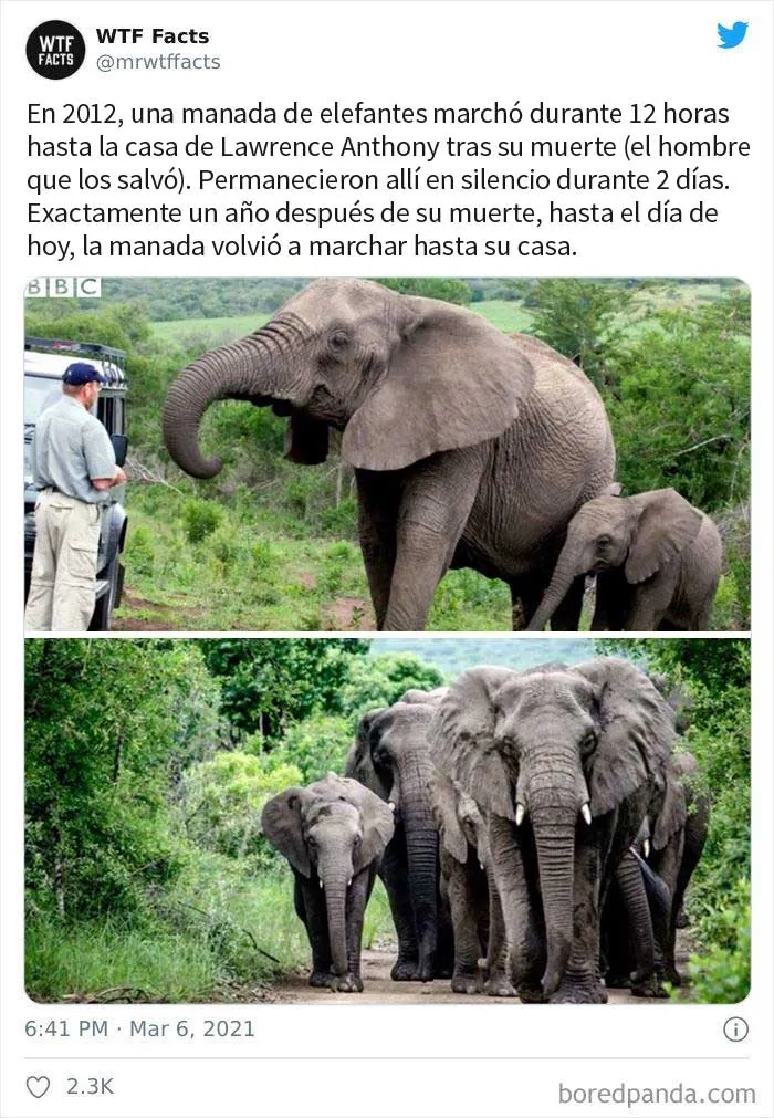 35 Datos sorprendentes que parecen falsos pero no lo son, compartidos por esta cuenta de Twitter