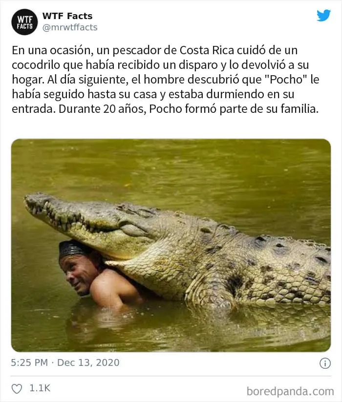 35 Datos sorprendentes que parecen falsos pero no lo son, compartidos por esta cuenta de Twitter