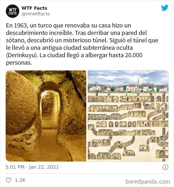 35 Datos sorprendentes que parecen falsos pero no lo son, compartidos por esta cuenta de Twitter