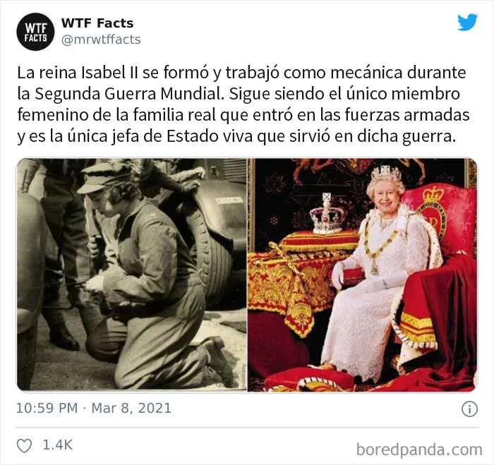 35 Datos sorprendentes que parecen falsos pero no lo son, compartidos por esta cuenta de Twitter