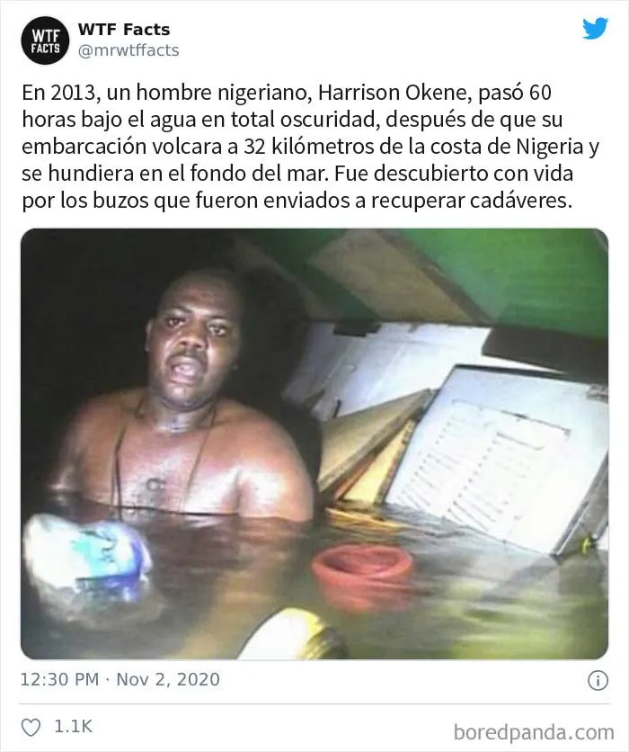 35 Datos sorprendentes que parecen falsos pero no lo son, compartidos por esta cuenta de Twitter
