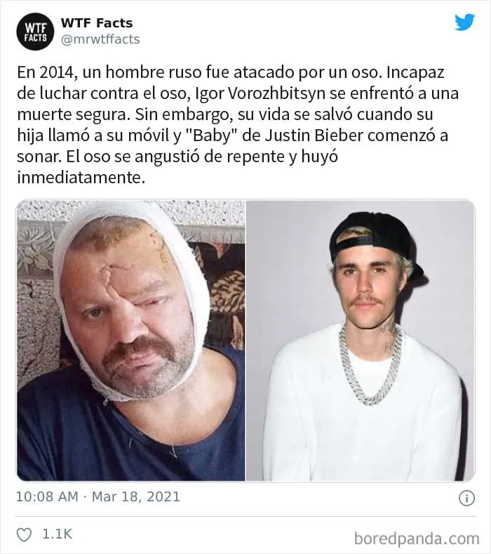 35 Datos sorprendentes que parecen falsos pero no lo son, compartidos por esta cuenta de Twitter