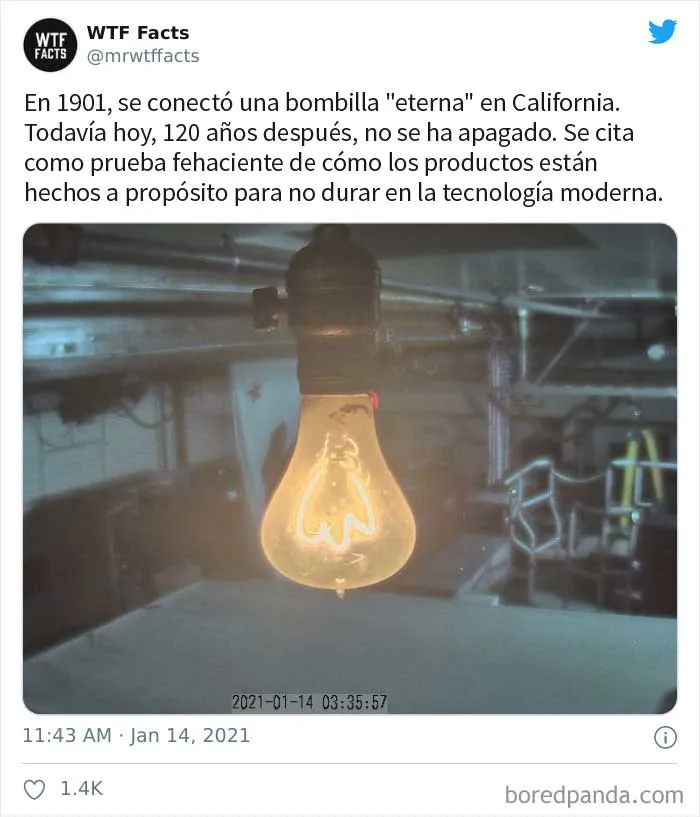 35 Datos sorprendentes que parecen falsos pero no lo son, compartidos por esta cuenta de Twitter