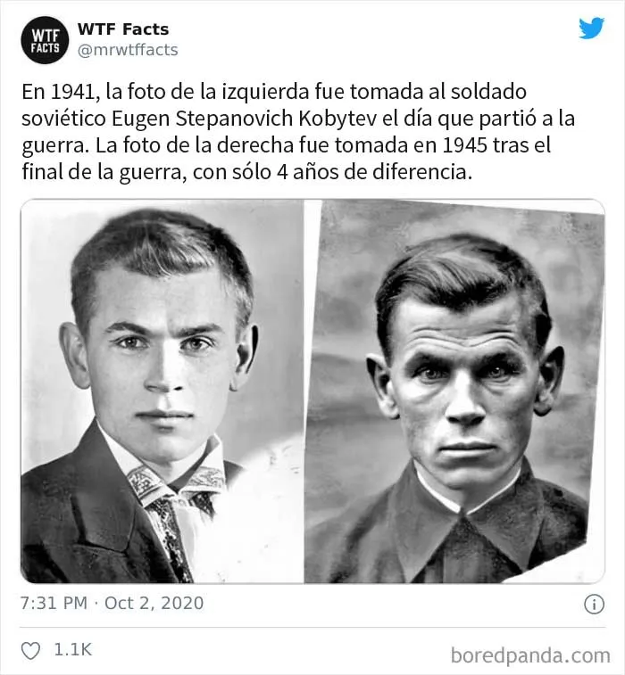 35 Datos sorprendentes que parecen falsos pero no lo son, compartidos por esta cuenta de Twitter