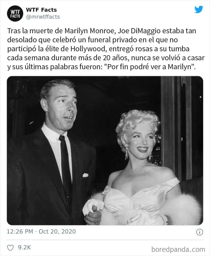 35 Datos sorprendentes que parecen falsos pero no lo son, compartidos por esta cuenta de Twitter