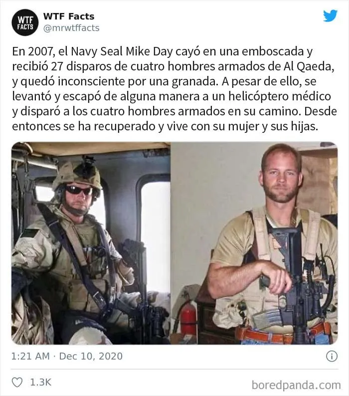 35 Datos sorprendentes que parecen falsos pero no lo son, compartidos por esta cuenta de Twitter