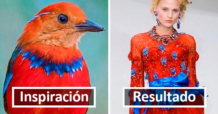 Moda inspirada en la naturaleza, como demuestra esta cuenta de instagram (30 fotos)