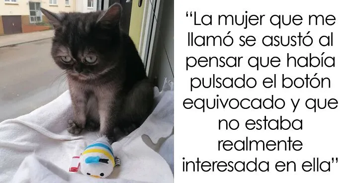 Esta mujer adoptó a una gata que fue ignorada en el refugio por su aspecto "feo"