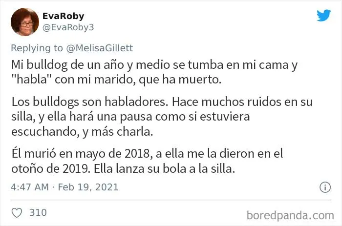 25 padres comparten frases escalofriantes que dijeron sus hijos y que no pueden olvidar