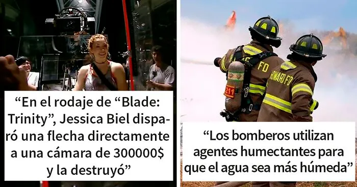 "Hoy aprendí": 40 cosas curiosas que la gente no aprendió en el colegio (nuevas imágenes)