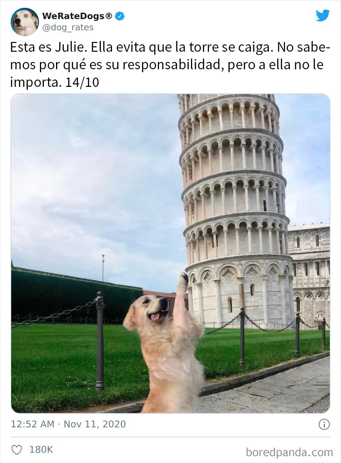 25 Personas que pidieron una valoración de sus perros y recibieron respuestas buenísimas (nuevas fotos)
