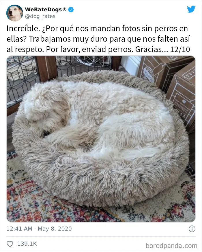 25 Personas que pidieron una valoración de sus perros y recibieron respuestas buenísimas (nuevas fotos)