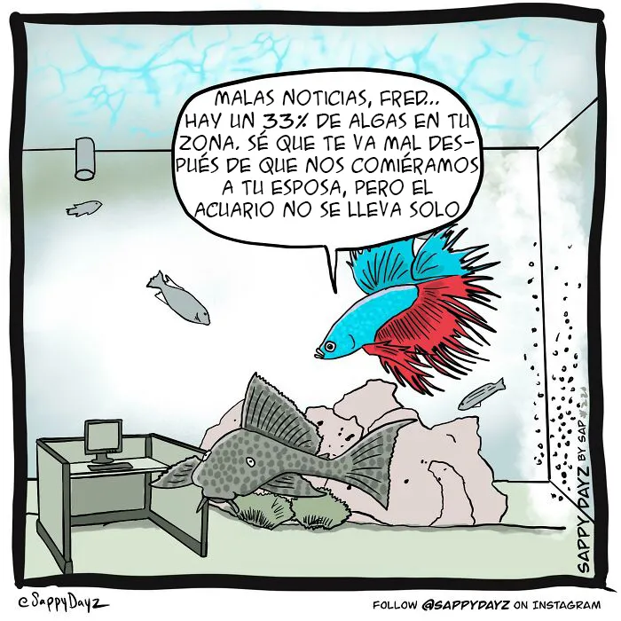 En El Acuario