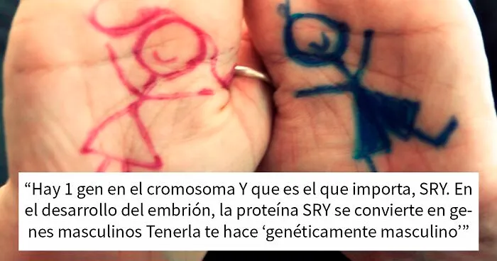 Esta profesora de biología explica lo que significa realmente el "sexo biológico" e inicia un acalorado debate en Twitter