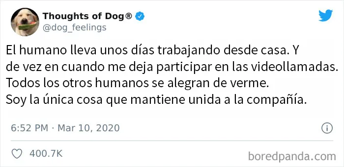20 Divertidos tuits de personas hartas de las llamadas por Zoom