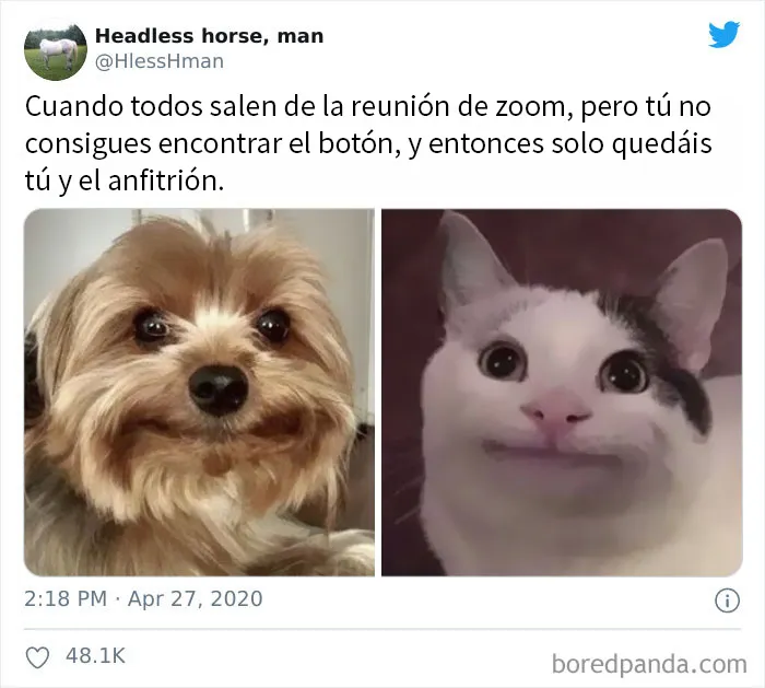 20 Divertidos tuits de personas hartas de las llamadas por Zoom