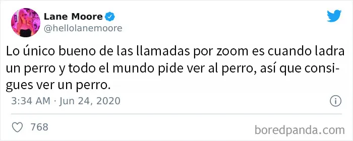 20 Divertidos tuits de personas hartas de las llamadas por Zoom