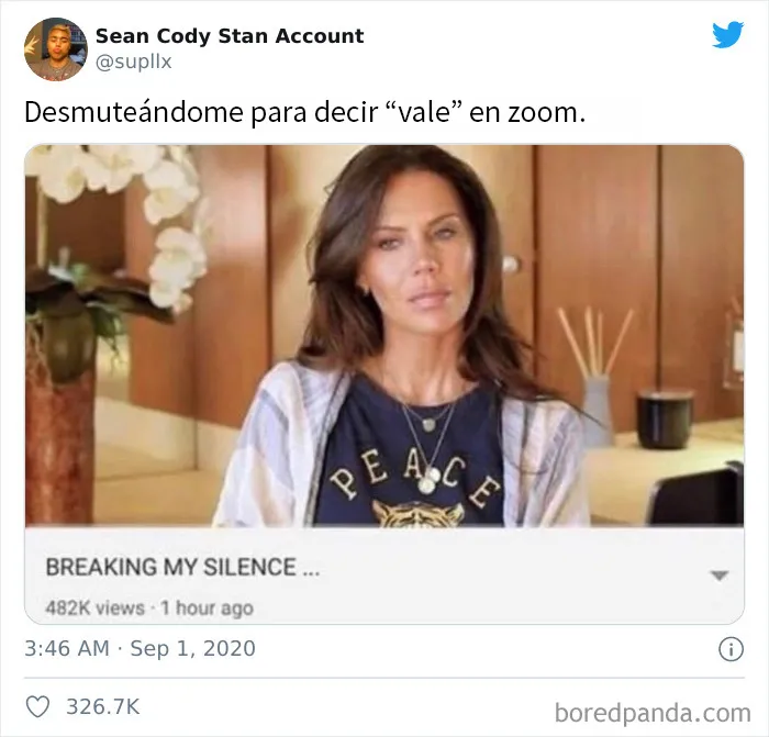 20 Divertidos tuits de personas hartas de las llamadas por Zoom