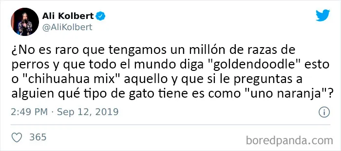 25 De los mejores tuits de "amantes de los perros vs amantes de los gatos"