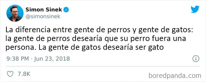 25 De los mejores tuits de "amantes de los perros vs amantes de los gatos"