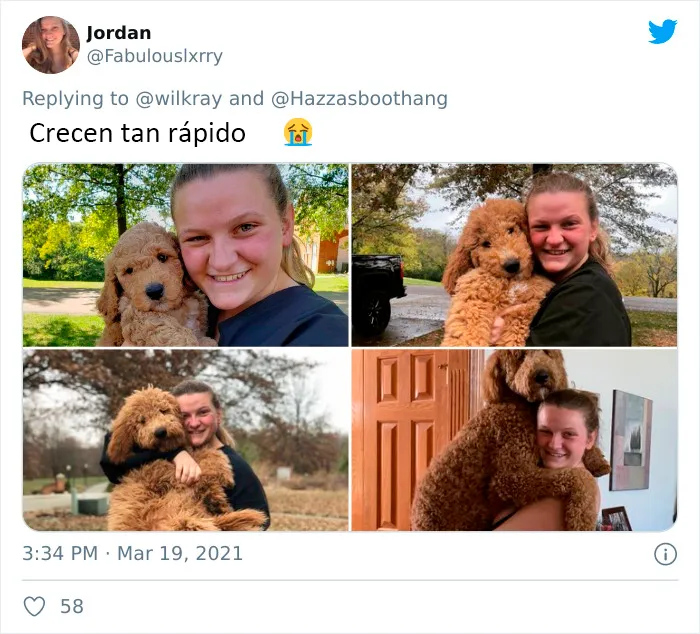 La gente comparte adorables fotos de lo rápido que crecen sus perros (35 fotos)