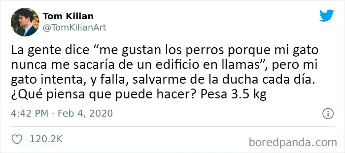 25 De los mejores tuits de "amantes de los perros vs amantes de los gatos"