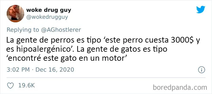25 De los mejores tuits de "amantes de los perros vs amantes de los gatos"