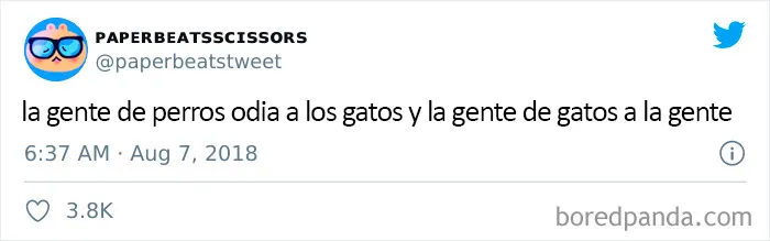 25 De los mejores tuits de "amantes de los perros vs amantes de los gatos"