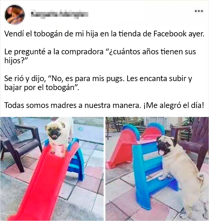 Puertas abiertas, ¡dentro tobogán!