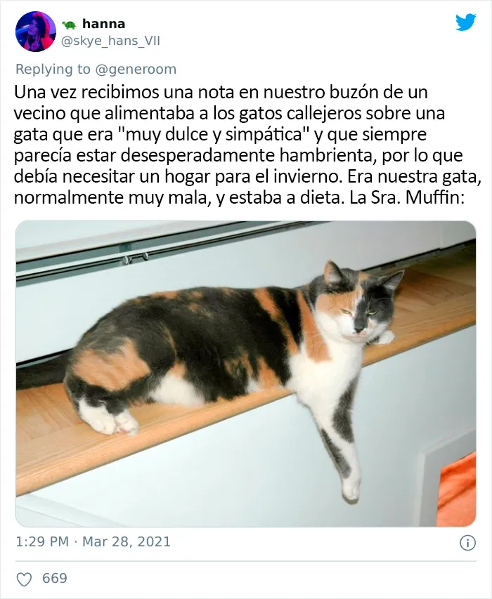 25 Gatos que hacen lo que quieren en estos tuits de "Este es mi gato, pero esta no es mi casa" y "Esta es mi casa, pero este no es mi gato"