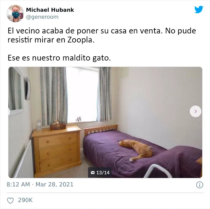 25 Gatos que hacen lo que quieren en estos tuits de "Este es mi gato, pero esta no es mi casa" y "Esta es mi casa, pero este no es mi gato"