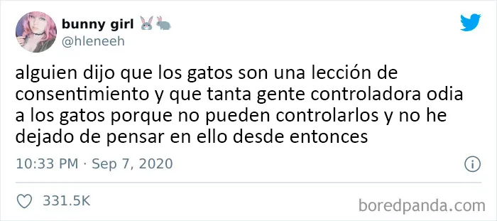 25 De los mejores tuits de "amantes de los perros vs amantes de los gatos"