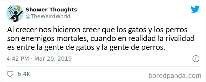 25 De los mejores tuits de "amantes de los perros vs amantes de los gatos"